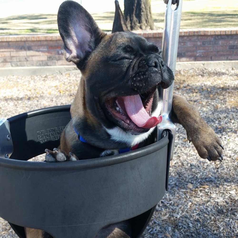 Meet your Posher, Sunny